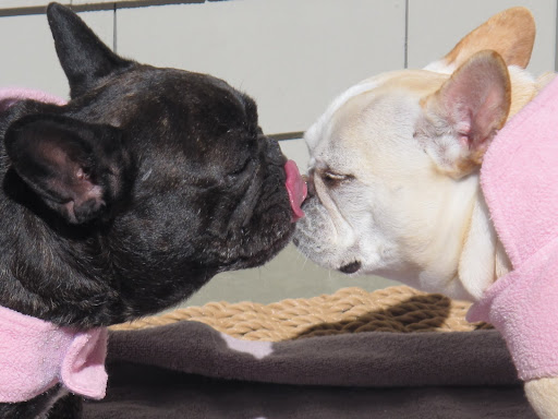 You're a great friend, playmate, and co-blogger.