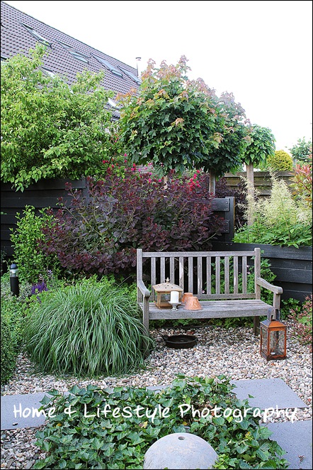 Home & Lifestyle Home & Lifestyle