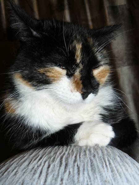 [clip_image007%5B4%5D.jpg]