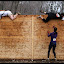 millicent_berlin_walls.jpg