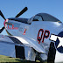 DSC08251.JPG