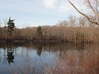 DSC03001.JPG