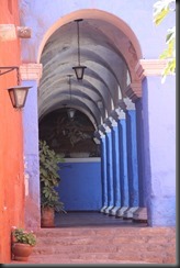 IMG_5115 IMG_5115