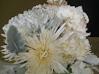 Some of the bedazzled blooms.