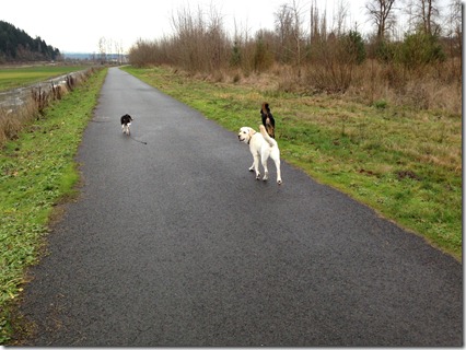 1stoffleashwalkgoing 1stoffleashwalkgoing