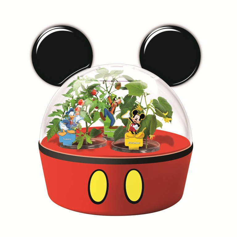 [MGK%2520Disney%2520Mickey%2520Mouse%2520Greenhouse%255B3%255D.jpg]