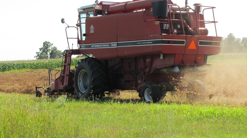 [combine%2520peas%2520054%255B3%255D.jpg]