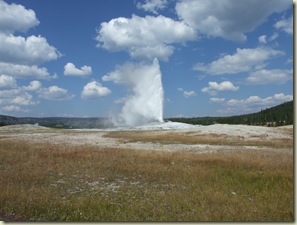 DSCF8014
