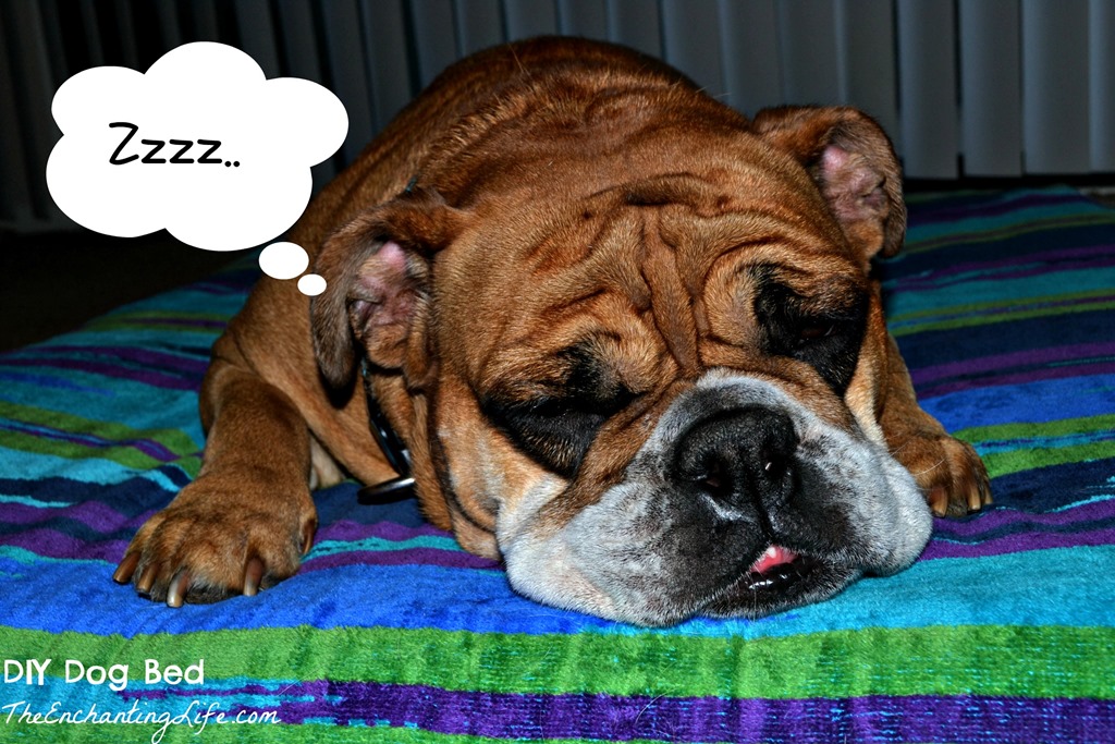 [DIY%2520Dog%2520Bed%2520on%2520TheEnchantingLife%255B3%255D.jpg]