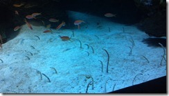 2012-07-16_12-44-13_728 2012-07-16_12-44-13_728