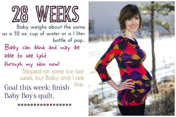 28weekcollage.png 28weekcollage