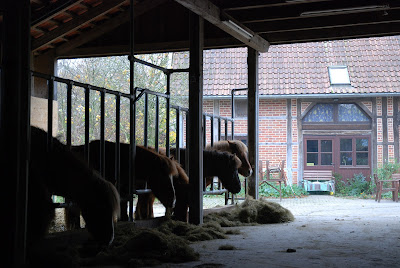 DSC_0467.JPG