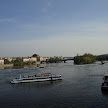 DSC00381.JPG