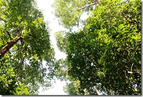 IMG_1347 IMG_1347