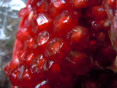 DSCN3900.jpg