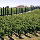 gallery umbria4 Fotos