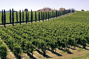 Umbria landscape gallery umbria4 Via Italia