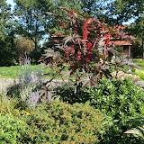 DisplayGardensAug192011 DisplayGardensAug192011