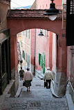 IMG_6566.jpg