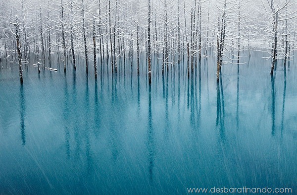 paisagens-de-inverno-winter-landscapes-desbaratinando (3) paisagens-de-inverno-winter-landscapes-desbaratinando (3)