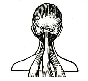 [clip_image031%255B5%255D.jpg]