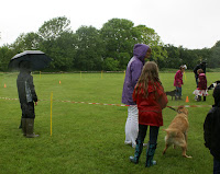 Diamond Jubilee