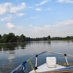 IMG_7445.JPG