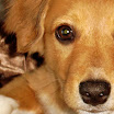 OCTOBER 25 2008 007-2.JPG
