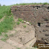 dsc06884.jpg