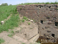 dsc06884.jpg