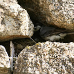 photoIMG_1085.jpg