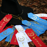 2011 Camporee