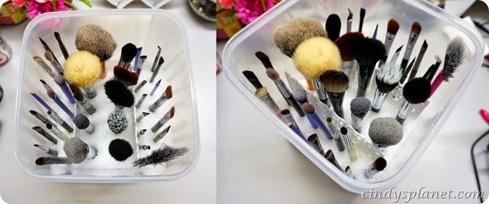 Brush Holder Sephora6-horz Brush Holder Sephora6-horz
