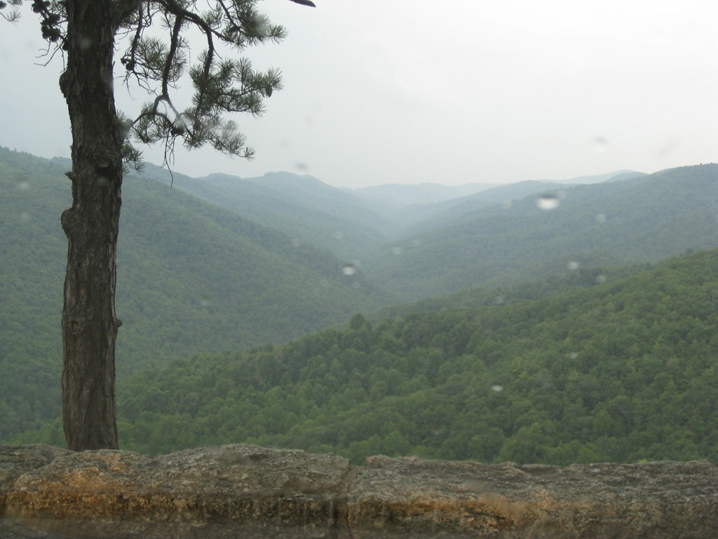 [IMG_8919%255B3%255D.jpg]