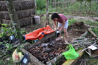 pinoyecofarm november_0034.JPG