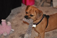 DSC_0376.JPG