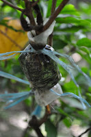 DSC_6054.JPG