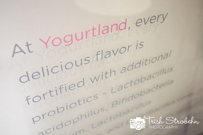 Yogurtland-LV-043