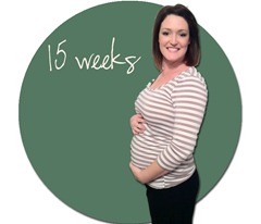 15 weeks