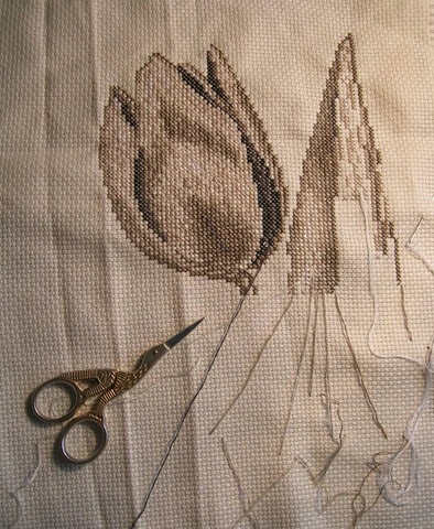 [DSCN6122%255B2%255D.jpg]