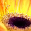 0IMG_6923.jpg