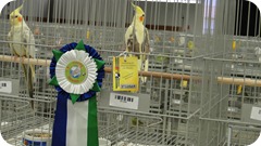 ITATIBA 2012 CAMPEONATO 027 ITATIBA 2012 CAMPEONATO 027