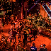Carnival Cruise 2014