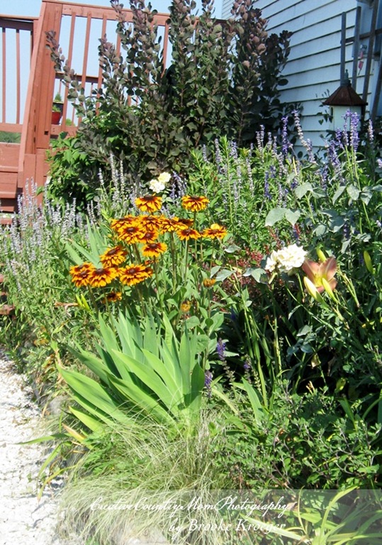 [IMG_5263%255B6%255D.jpg]