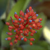 DSC_5608.jpg