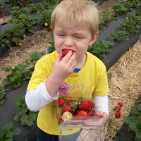 Underwood Family Farms