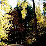 2012 - Taubenberg