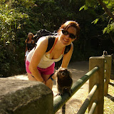 They are used to being fed - they'd never be this tame otherwise!