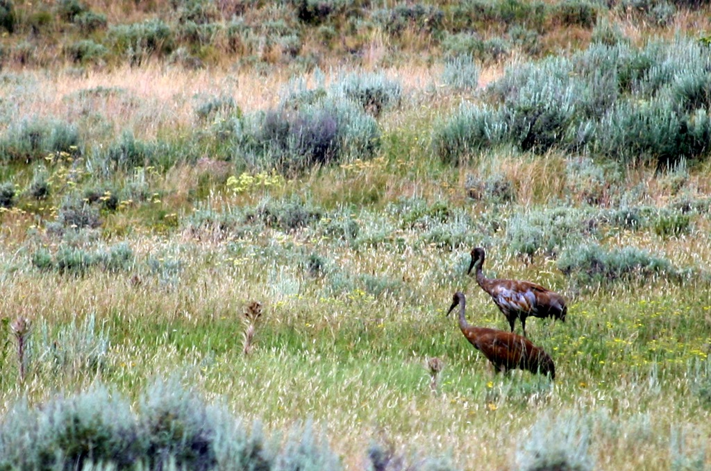 [IMG_2061B%255B4%255D.jpg]