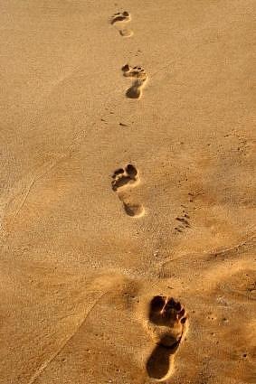 [footprints%255B7%255D.jpg]